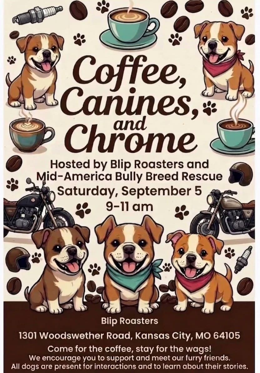 Mid-America Bully Breed Rescue – Pittie Pit-Stop at Blip Coffee